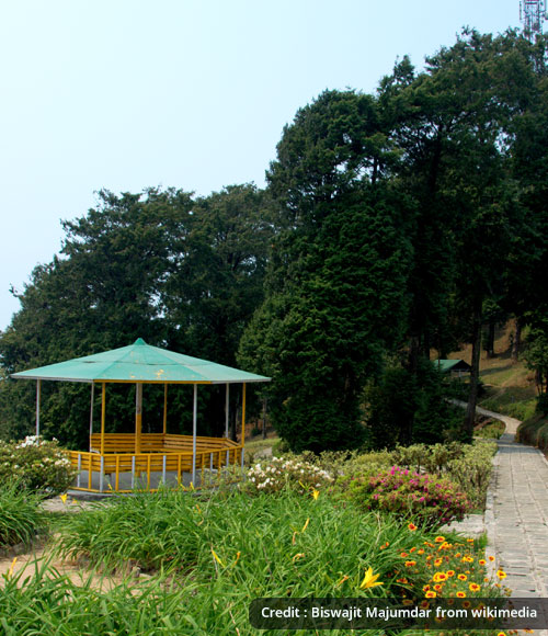 Delo Park
